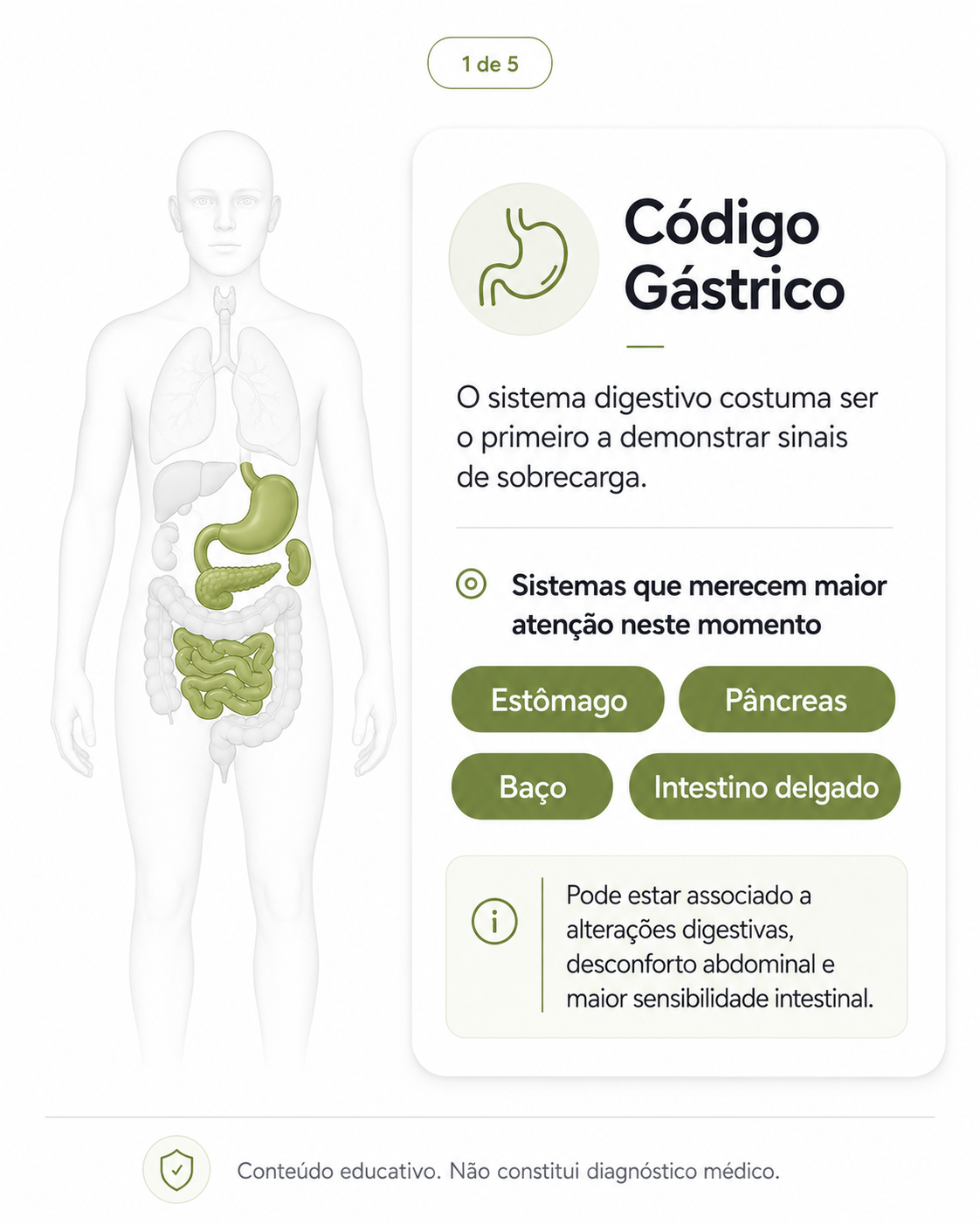 Código Gástrico — sistema digestivo em destaque